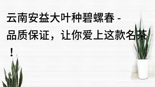 云南安益大叶种碧螺春 - 品质保证，让你爱上这款名茶！