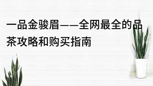 一品金骏眉——全网最全的品茶攻略和购买指南