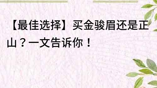 【最佳选择】买金骏眉还是正山？一文告诉你！