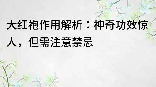 大红袍作用解析：神奇功效惊人，但需注意禁忌