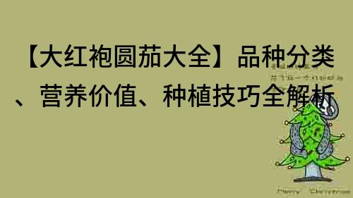 【大红袍圆茄大全】品种分类、营养价值、种植技巧全解析