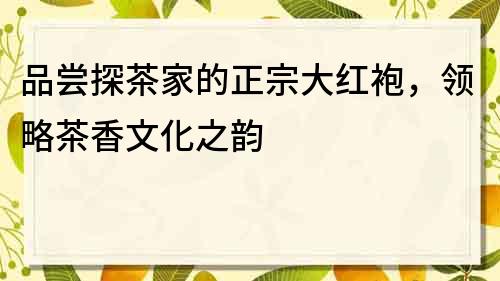 品尝探茶家的正宗大红袍，领略茶香文化之韵