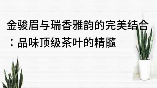 金骏眉与瑞香雅韵的完美结合：品味顶级茶叶的精髓