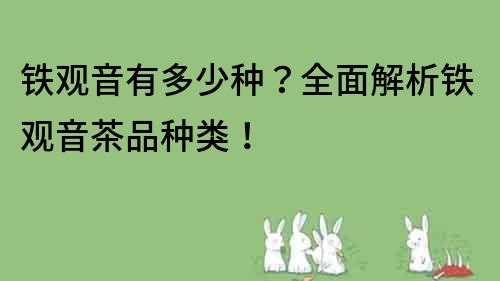 铁观音有多少种？全面解析铁观音茶品种类！