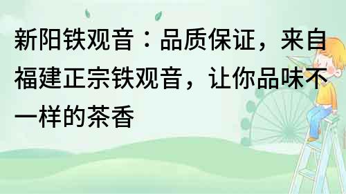 新阳铁观音：品质保证，来自福建正宗铁观音，让你品味不一样的茶香