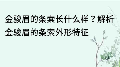 金骏眉的条索长什么样？解析金骏眉的条索外形特征