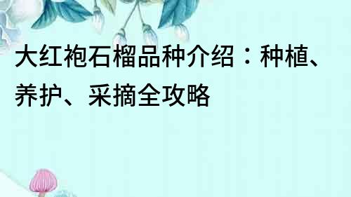 大红袍石榴品种介绍：种植、养护、采摘全攻略