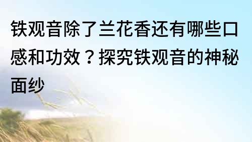 铁观音除了兰花香还有哪些口感和功效？探究铁观音的神秘面纱