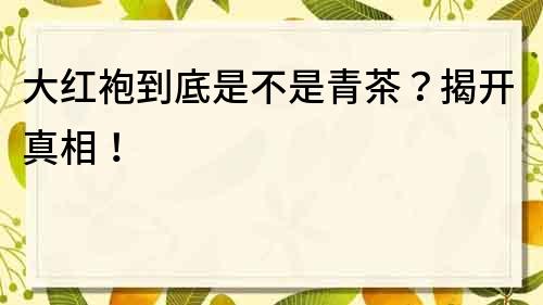 大红袍到底是不是青茶？揭开真相！