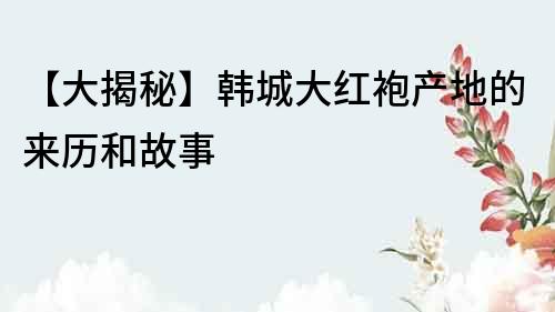 【大揭秘】韩城大红袍产地的来历和故事