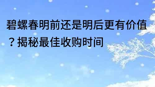 碧螺春明前还是明后更有价值？揭秘最佳收购时间