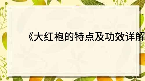 《大红袍的特点及功效详解》