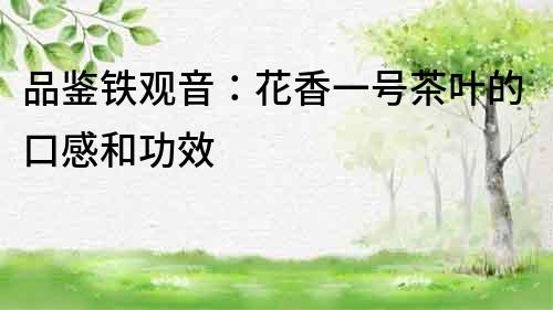 品鉴铁观音：花香一号茶叶的口感和功效