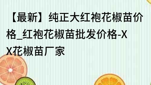 【最新】纯正大红袍花椒苗价格_红袍花椒苗批发价格-XX花椒苗厂家