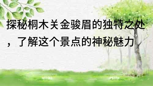 探秘桐木关金骏眉的独特之处，了解这个景点的神秘魅力