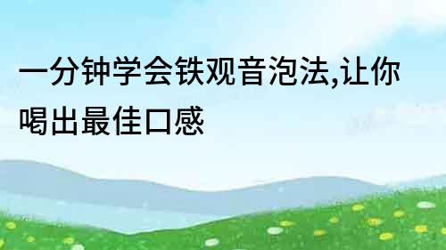 一分钟学会铁观音泡法,让你喝出最佳口感