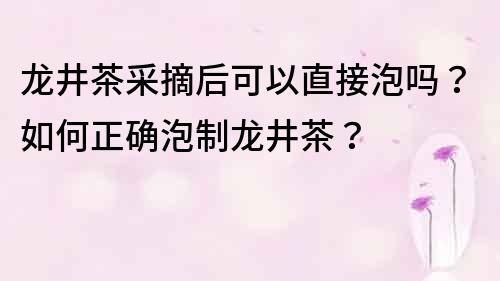 龙井茶采摘后可以直接泡吗？如何正确泡制龙井茶？