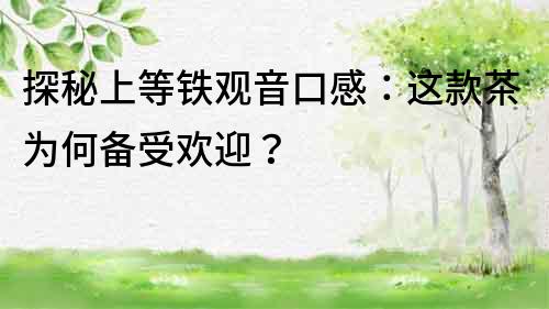 探秘上等铁观音口感：这款茶为何备受欢迎？