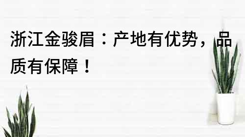 浙江金骏眉：产地有优势，品质有保障！