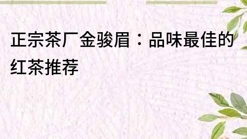 正宗茶厂金骏眉：品味最佳的红茶推荐