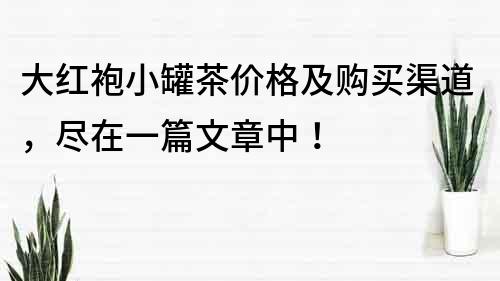 大红袍小罐茶价格及购买渠道，尽在一篇文章中！