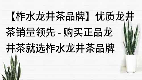 【柞水龙井茶品牌】优质龙井茶销量领先 - 购买正品龙井茶就选柞水龙井茶品牌