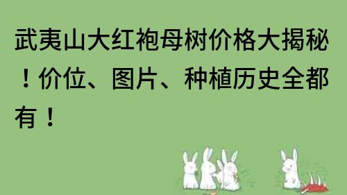 武夷山大红袍母树价格大揭秘！价位、图片、种植历史全都有！