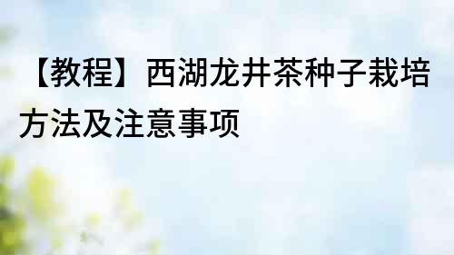 【教程】西湖龙井茶种子栽培方法及注意事项