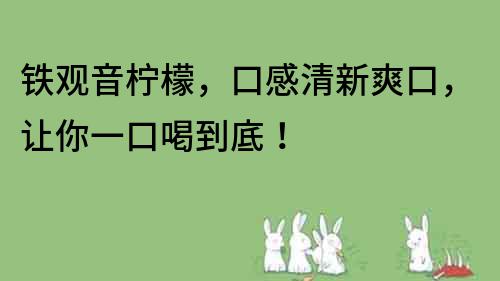 铁观音柠檬，口感清新爽口，让你一口喝到底！