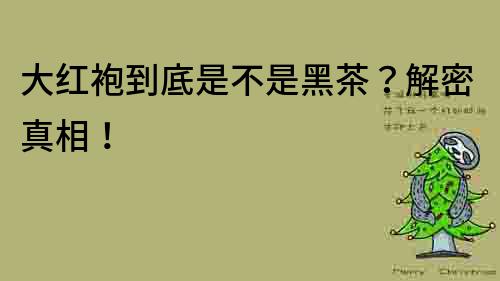 大红袍到底是不是黑茶？解密真相！