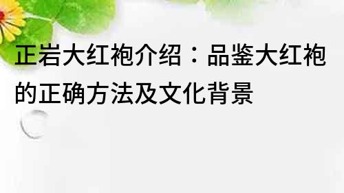 正岩大红袍介绍：品鉴大红袍的正确方法及文化背景