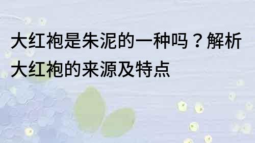 大红袍是朱泥的一种吗？解析大红袍的来源及特点