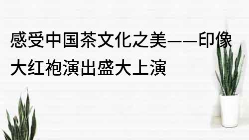 感受中国茶文化之美——印像大红袍演出盛大上演