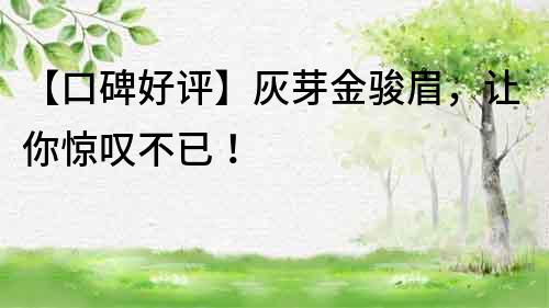 【口碑好评】灰芽金骏眉，让你惊叹不已！