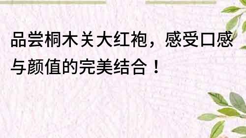 品尝桐木关大红袍，感受口感与颜值的完美结合！