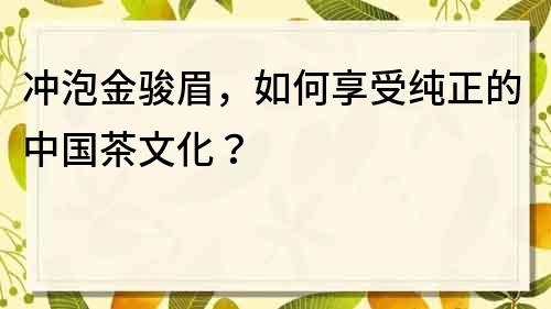 冲泡金骏眉，如何享受纯正的中国茶文化？