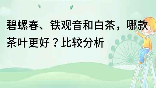 碧螺春、铁观音和白茶，哪款茶叶更好？比较分析