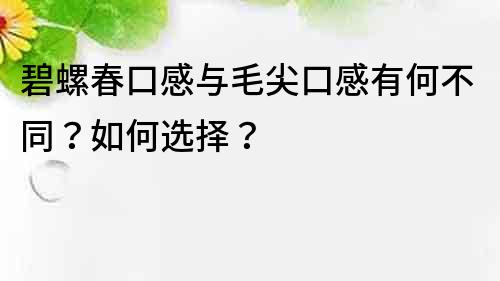 碧螺春口感与毛尖口感有何不同？如何选择？