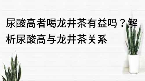 尿酸高者喝龙井茶有益吗？解析尿酸高与龙井茶关系