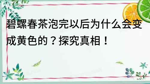 碧螺春茶泡完以后为什么会变成黄色的？探究真相！