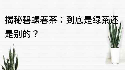 揭秘碧螺春茶：到底是绿茶还是别的？