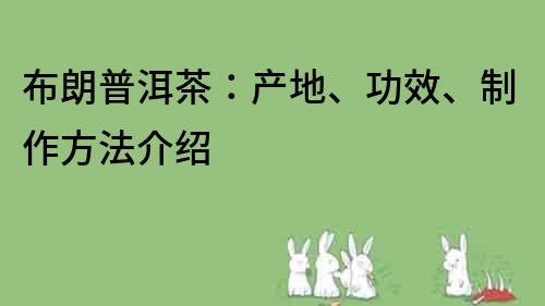 布朗普洱茶：产地、功效、制作方法介绍