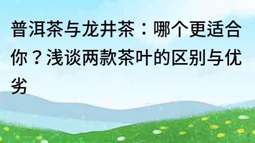 普洱茶与龙井茶：哪个更适合你？浅谈两款茶叶的区别与优劣