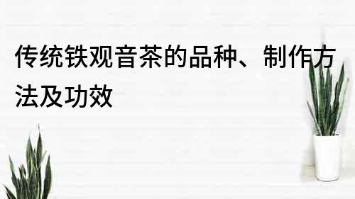 传统铁观音茶的品种、制作方法及功效