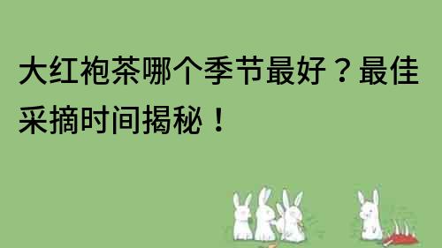 大红袍茶哪个季节最好？最佳采摘时间揭秘！