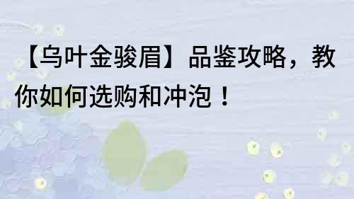 【乌叶金骏眉】品鉴攻略，教你如何选购和冲泡！