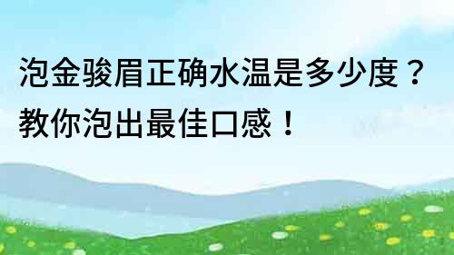 泡金骏眉正确水温是多少度？教你泡出最佳口感！