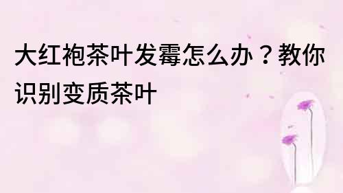 大红袍茶叶发霉怎么办？教你识别变质茶叶