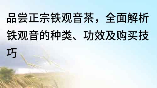 品尝正宗铁观音茶，全面解析铁观音的种类、功效及购买技巧