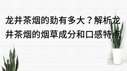 龙井茶烟的劲有多大？解析龙井茶烟的烟草成分和口感特点